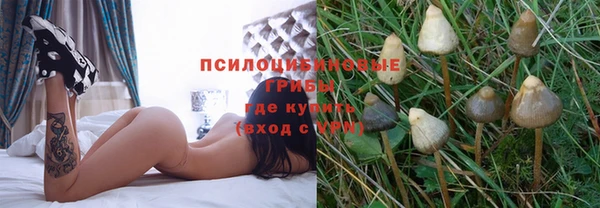 твердый Армянск