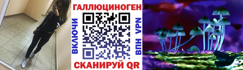 Купить где Себеж Псилоцибиновые грибы MAGIC MUSHROOMS